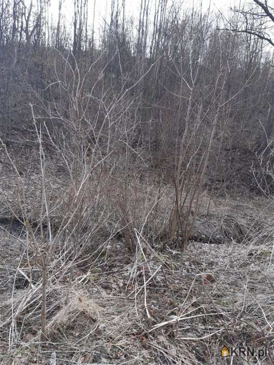 Niedźwiedzica, ul. , Działki  na sprzedaż, 