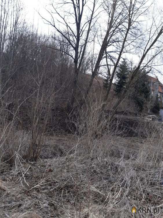 Biuro Nieruchomości SOWA, Działki  na sprzedaż, Niedźwiedzica, ul. 