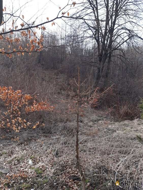 Działki  na sprzedaż, Niedźwiedzica, ul. , 