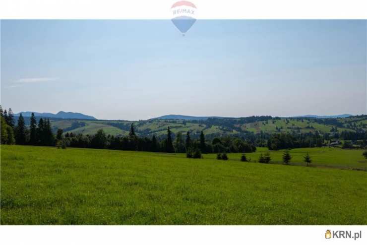 Działki  na sprzedaż, Dzianisz, ul. , 