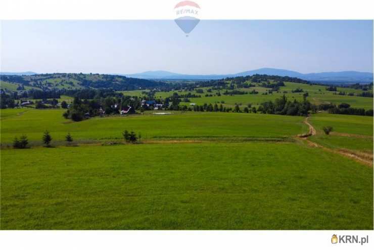 Działki  na sprzedaż, Dzianisz, ul. , 