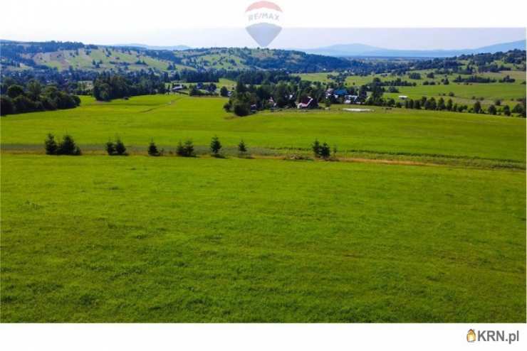 Działki  na sprzedaż, , Dzianisz, ul. 