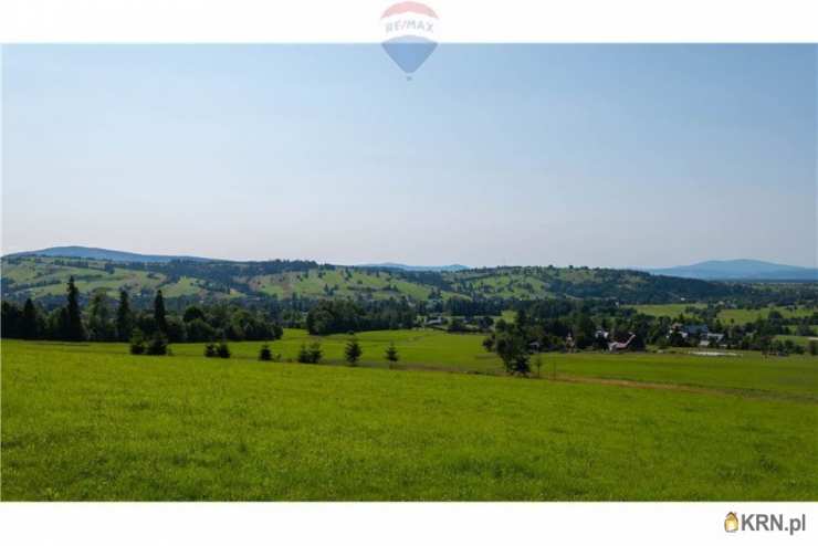 Działki  na sprzedaż, Dzianisz, ul. , 