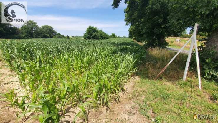 Nowe Brzesko, ul. , , Działki  na sprzedaż