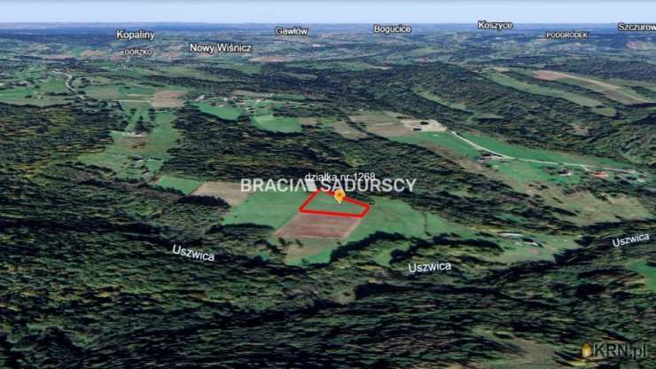 BRACIA SADURSCY NIERUCHOMOŚCI ODDZIAŁ BS5 NOWA HUTA, Działki  na sprzedaż, Lipnica Górna, ul. 