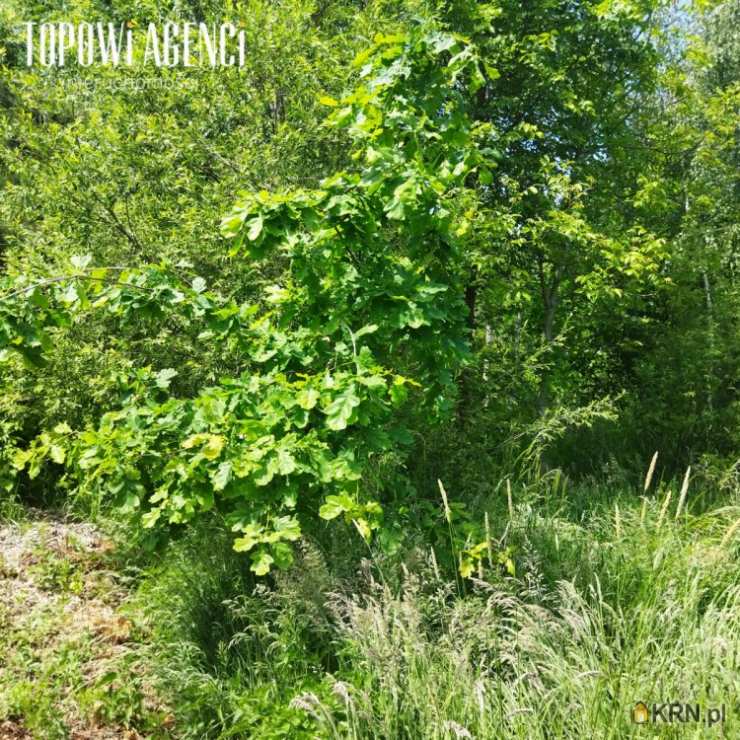 Działki  na sprzedaż, Brańszczyk, ul. Jana Pawła II, 