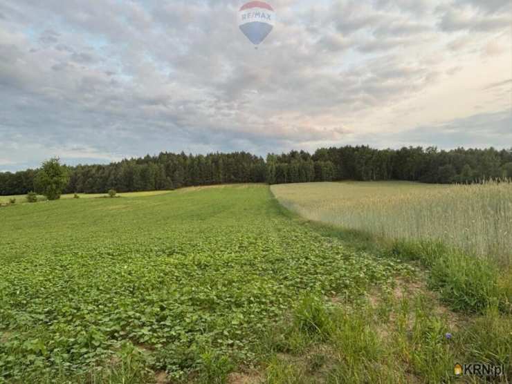 Feliksów, ul. , Działki  na sprzedaż, 