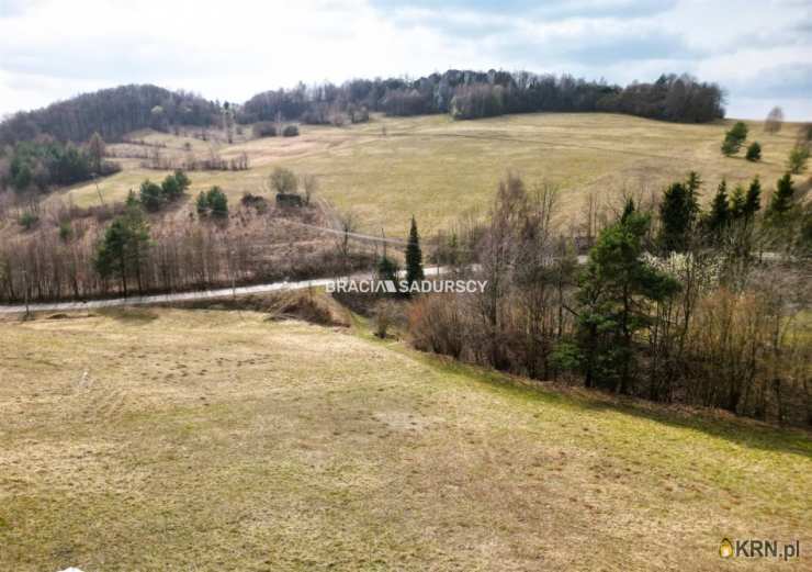 Działki  na sprzedaż, Jerzmanowice, ul. , 