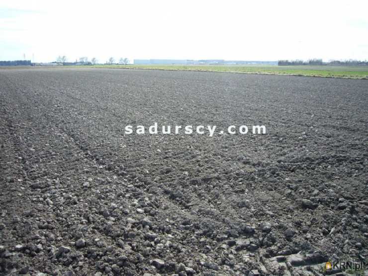 Nowa Wola, ul. , , Działki  na sprzedaż