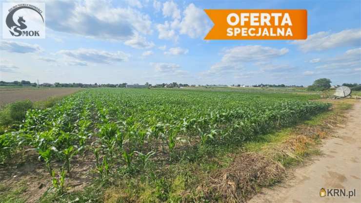 Działki  na sprzedaż, Pobiednik Wielki, ul. , 