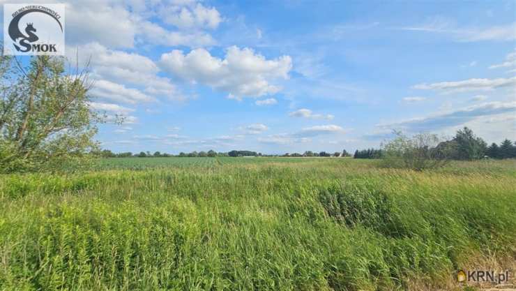 Działki  na sprzedaż, , Pobiednik Wielki, ul. 