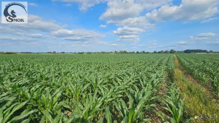 Pobiednik Wielki, ul. , , Działki  na sprzedaż