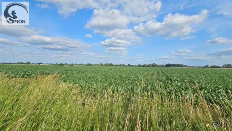 , Pobiednik Wielki, ul. , Działki  na sprzedaż