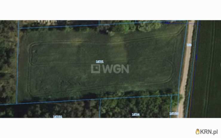 Kierzkowo, ul. , Działki  na sprzedaż, 