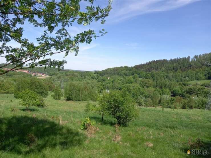 Działki  na sprzedaż, Wałbrzych, Rusinowa, ul. , 