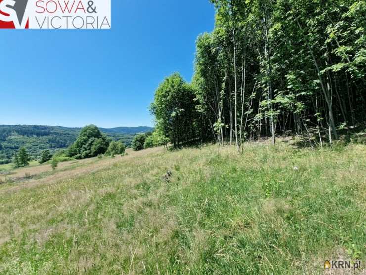 , Działki  na sprzedaż, Sierpnica, ul. 