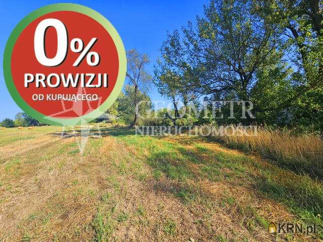 Działki  na sprzedaż, Boża Wola, ul. Modrzewiowa, 