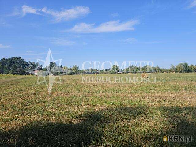 Działki  na sprzedaż, , Boża Wola, ul. Modrzewiowa