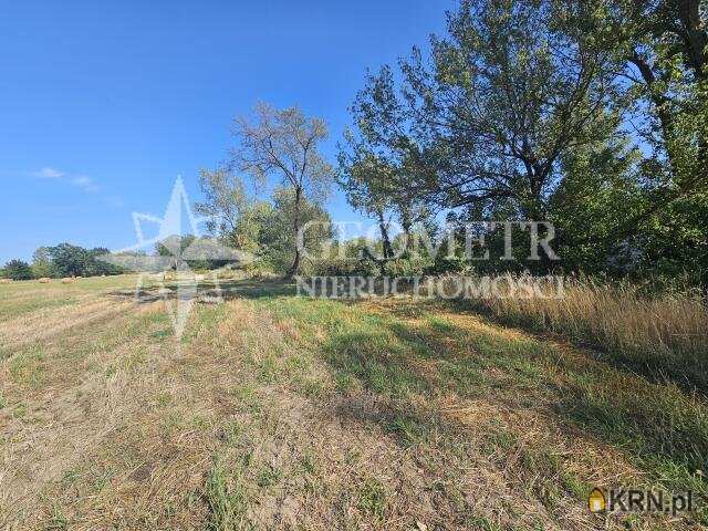 , Boża Wola, ul. Modrzewiowa, Działki  na sprzedaż