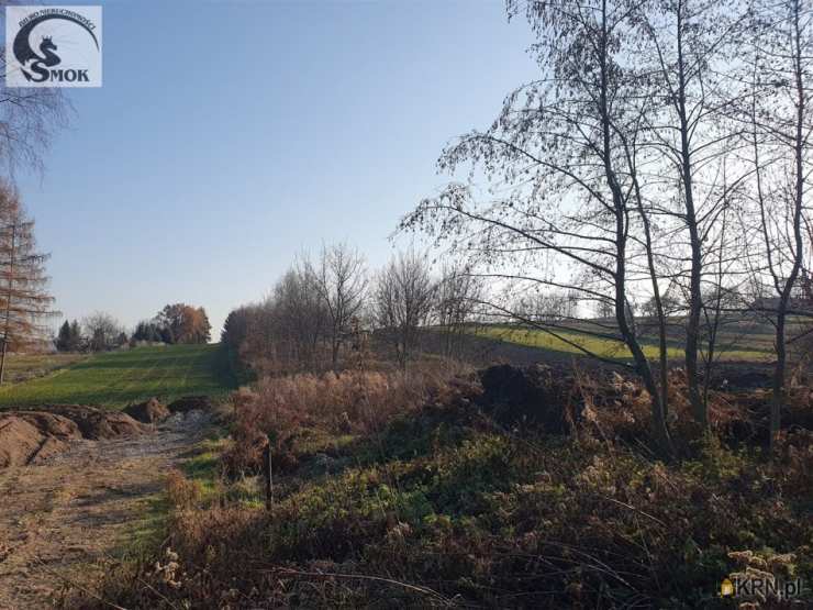 Działki  na sprzedaż, , Bodzanów, ul. 