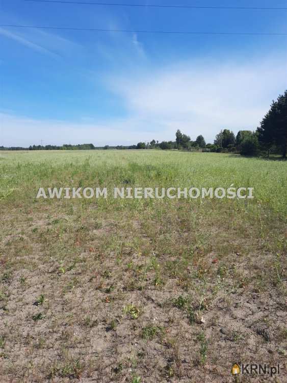 Nowa Wola, ul. , Działki  na sprzedaż, 