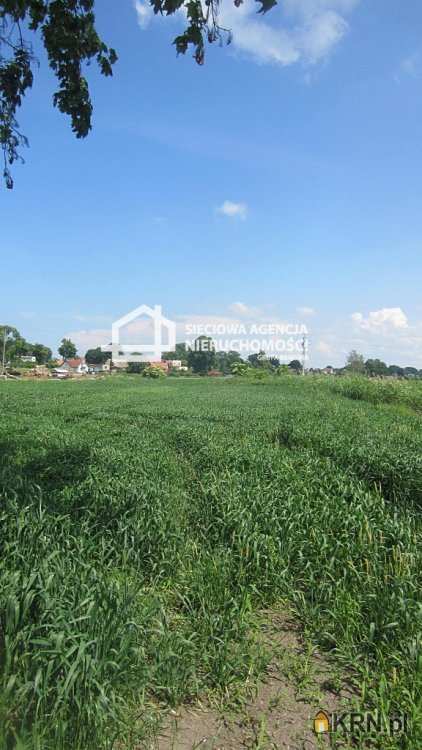 Sztutowo, ul. , Działki  na sprzedaż, 