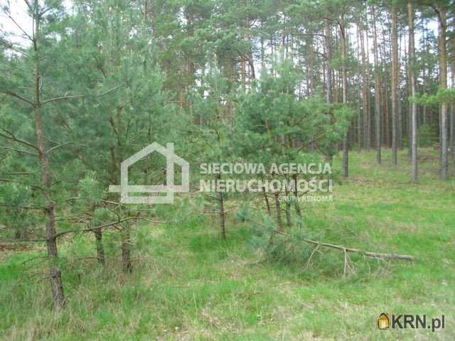 , Działki  na sprzedaż, Miedzno, ul. 