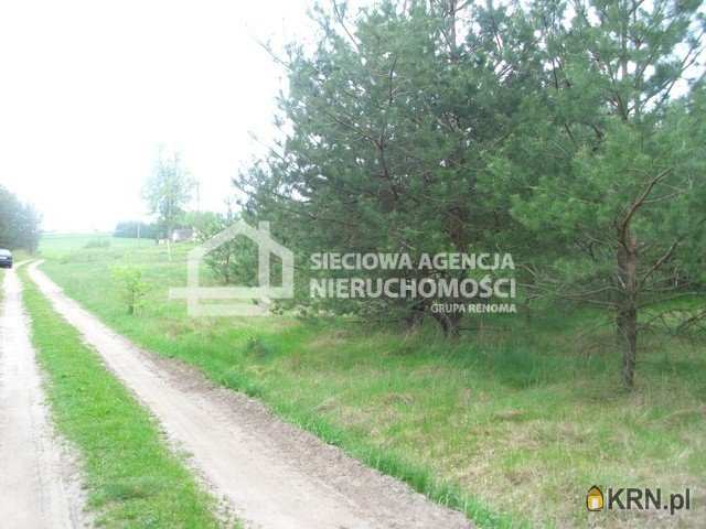 Sieciowa Agencja Nieruchomości Grupa Renoma, Działki  na sprzedaż, Miedzno, ul. 