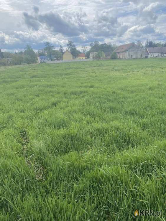 Działki  na sprzedaż, Trzeboszowice, ul. , 