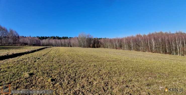 Biały Kościół, ul. , Działki  na sprzedaż, 