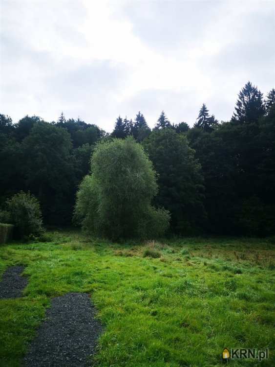 Działki  na sprzedaż, , Miłoszów, ul. 