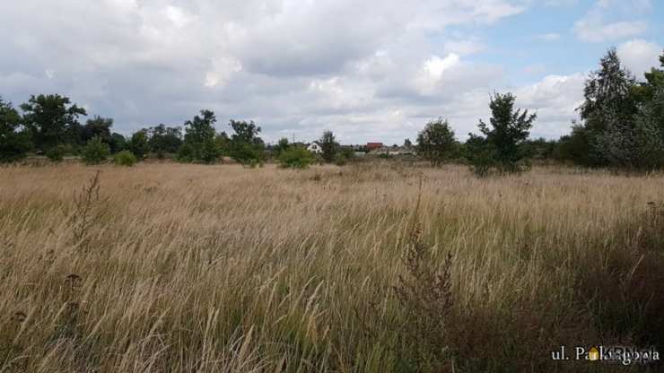 , Żyrardów, ul. , Działki  na sprzedaż