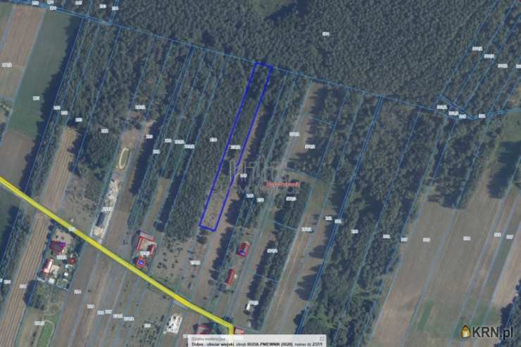 Ruda-Pniewnik, ul. , Działki  na sprzedaż, 