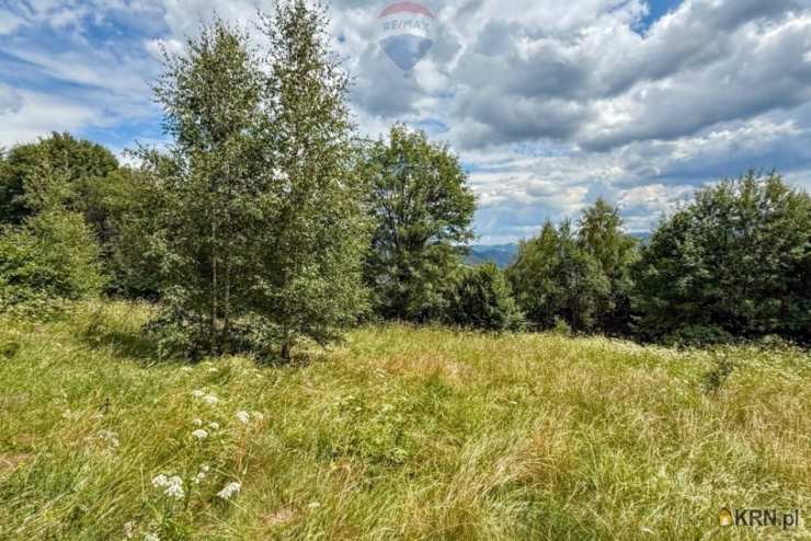 Ochotnica Dolna, ul. , Działki  na sprzedaż, 