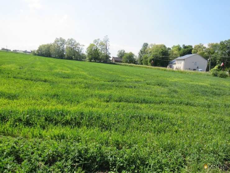 Klimontów, ul. , Działki  na sprzedaż, 