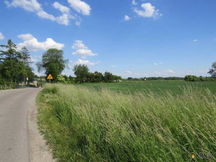 Działki  na sprzedaż, Klimontów, ul. , 