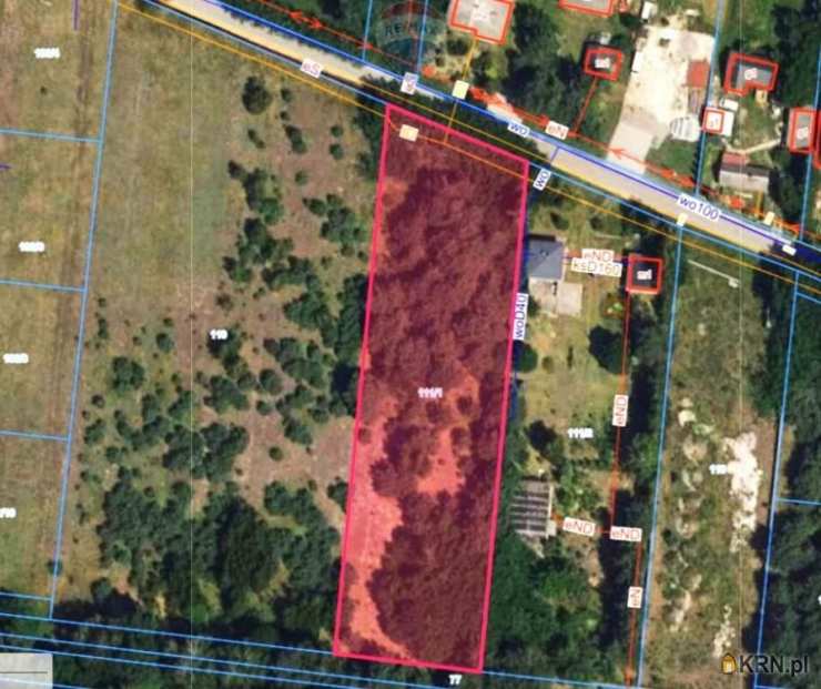 Puszcza Mariańska, ul. , Działki  na sprzedaż, 