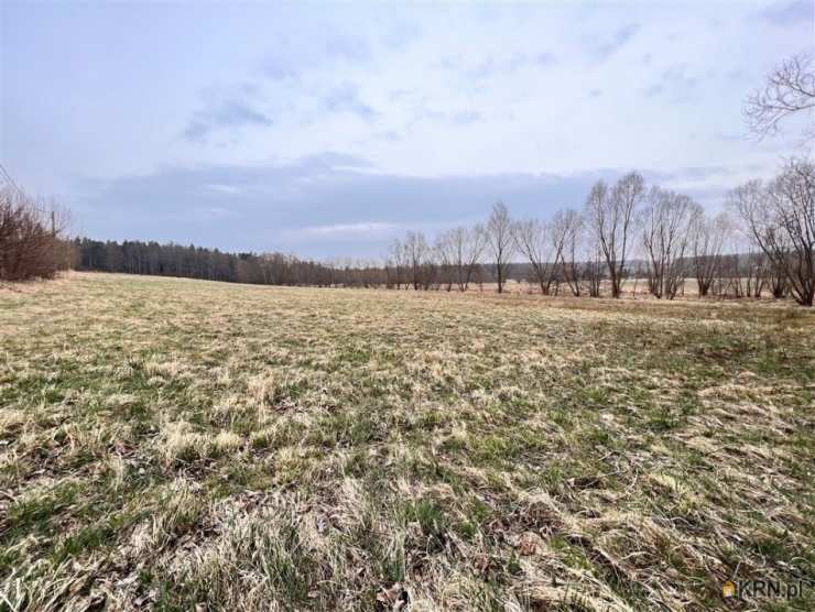 Działki  na sprzedaż, , Rębiszów, ul. 