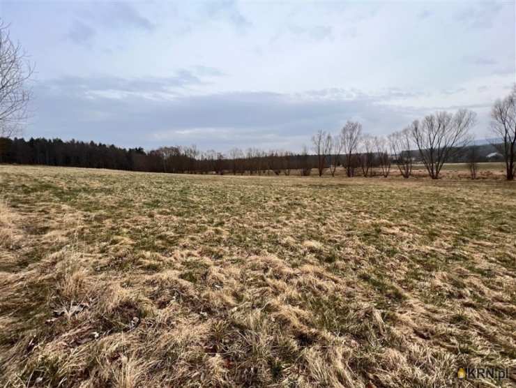 Rębiszów, ul. , Działki  na sprzedaż, 