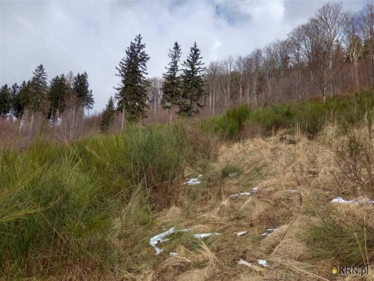 , Jedlina-Zdrój, ul. , Działki  na sprzedaż