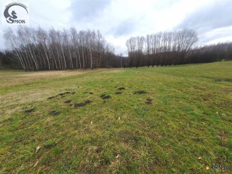 Działki  na sprzedaż, Sławkowice, ul. , 