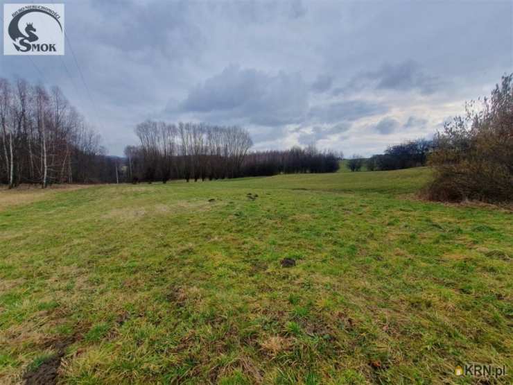 Działki  na sprzedaż, , Sławkowice, ul. 