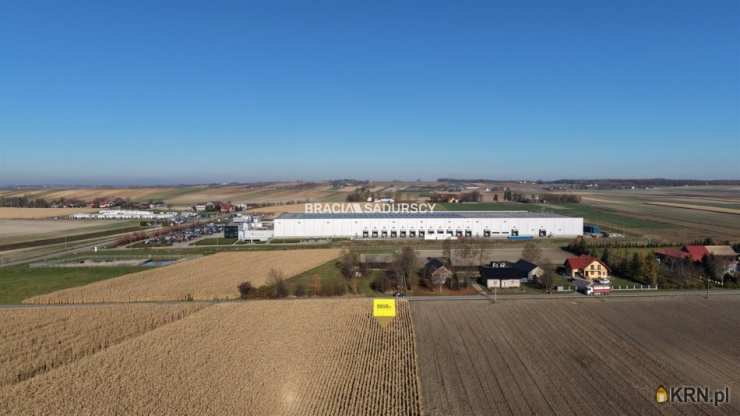 Prandocin-Iły, ul. , , Działki  na sprzedaż