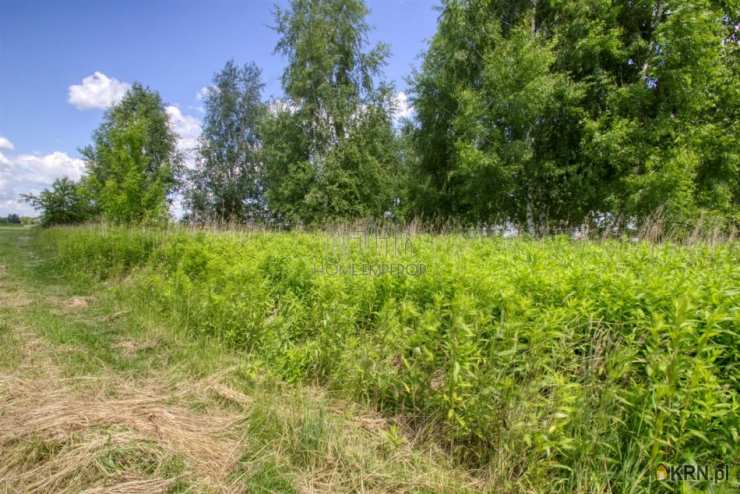 , Borzęcin Duży, ul. Trakt Królewski, Działki  na sprzedaż