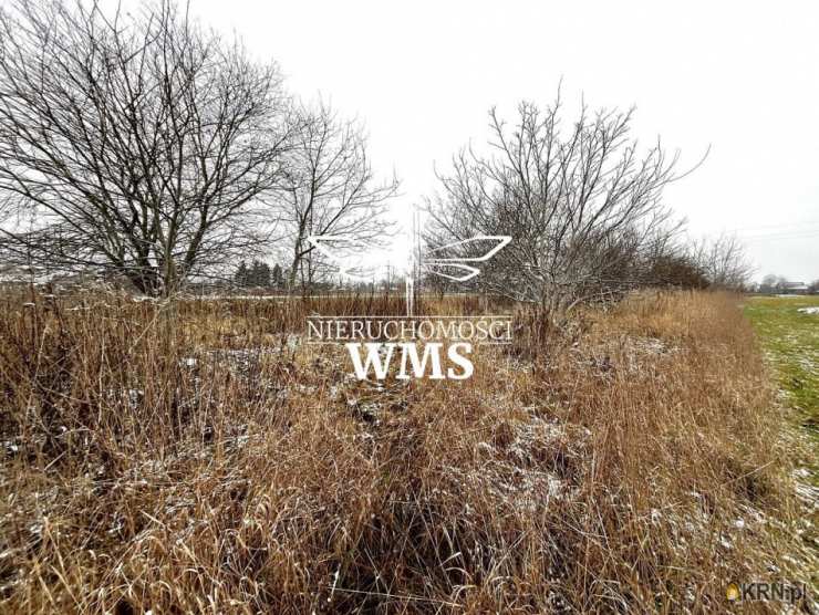 Działki  na sprzedaż, , Głuchów, ul. 