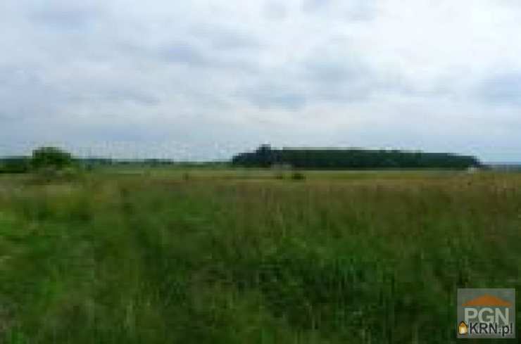 Działki  na sprzedaż, , Połchowo, ul. 