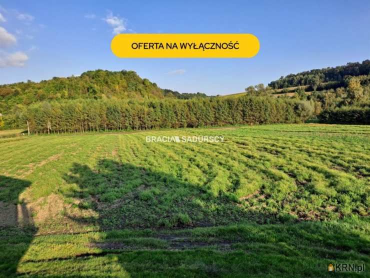 Działki  na sprzedaż, Polekarcice, ul. , 