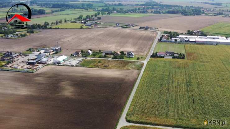 Przedbojewice, ul. , , Działki  na sprzedaż