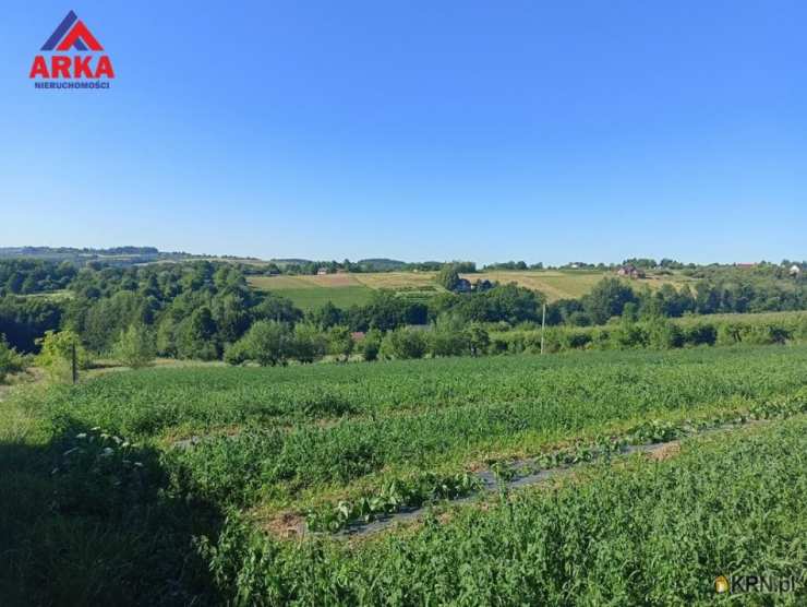 Działki  na sprzedaż, Sadek, ul. , 