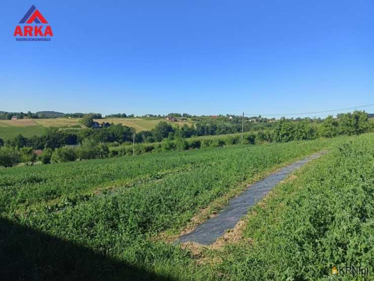 Działki  na sprzedaż, , Sadek, ul. 